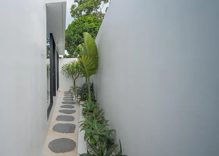 Villa Monstera *