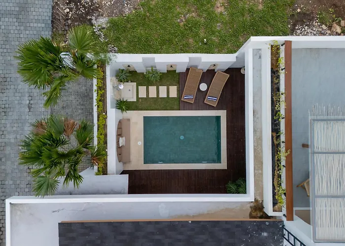 Villa Monstera *